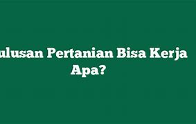 Lulusan D4 Perpajakan Kerja Apa